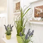 Апартаменты Wohnpark Stadt Hamburg - Apt. 50